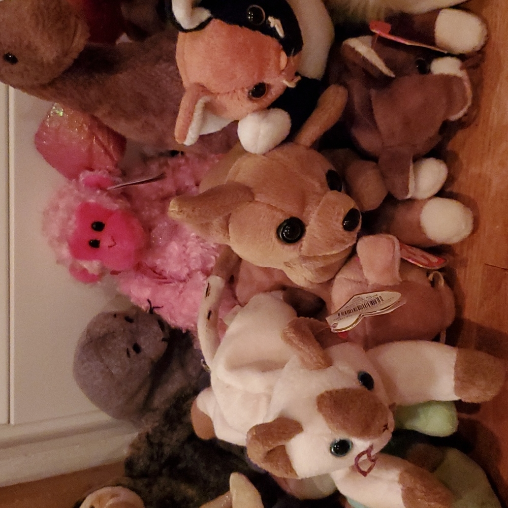Beanie Baby Bundle (20) - Picture 4 of 6